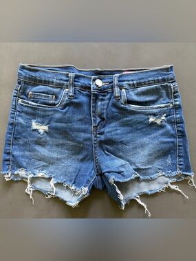 Blank NYC The Mini Astor Frayed Hem Distressed Jean Shorts